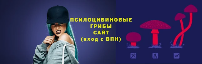 ПСИЛОЦИБИНОВЫЕ ГРИБЫ Белокуриха