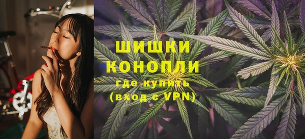 ПСИЛОЦИБИНОВЫЕ ГРИБЫ Белокуриха