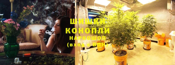 ПСИЛОЦИБИНОВЫЕ ГРИБЫ Белокуриха