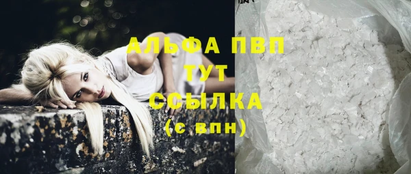 ПСИЛОЦИБИНОВЫЕ ГРИБЫ Белокуриха